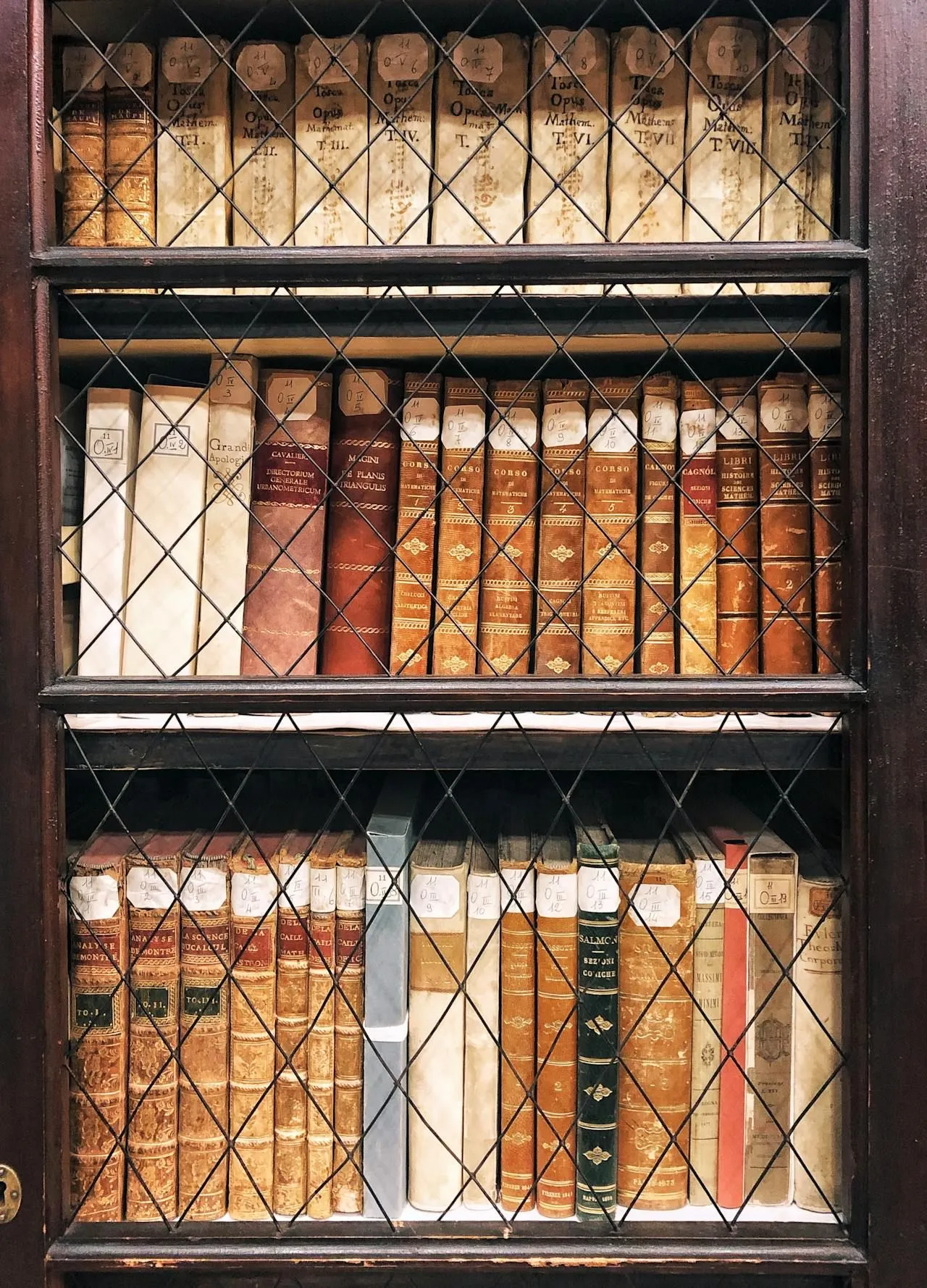 Silverfish vs. Bookworms: What Is Eating Your Books?