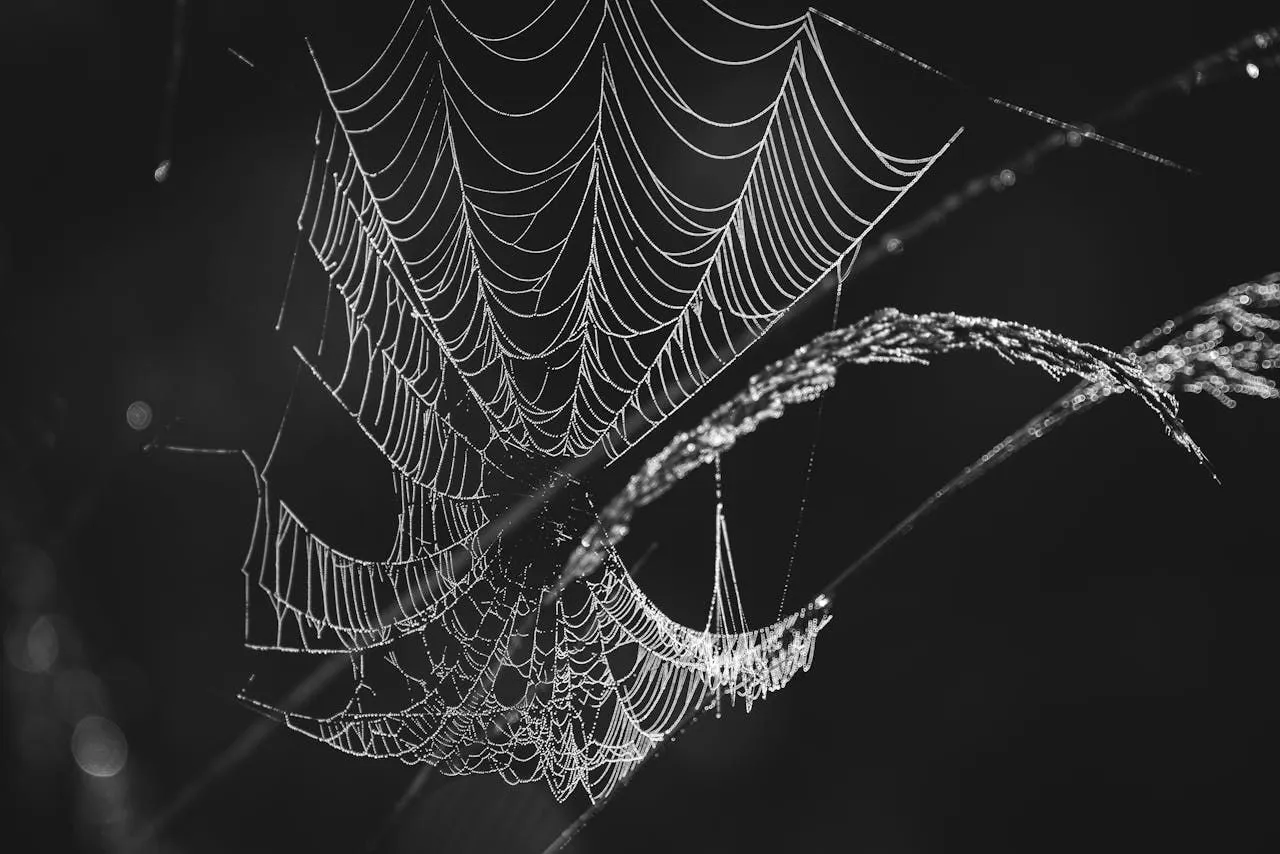 Trapdoor Spiders: Behavior and Habitat
