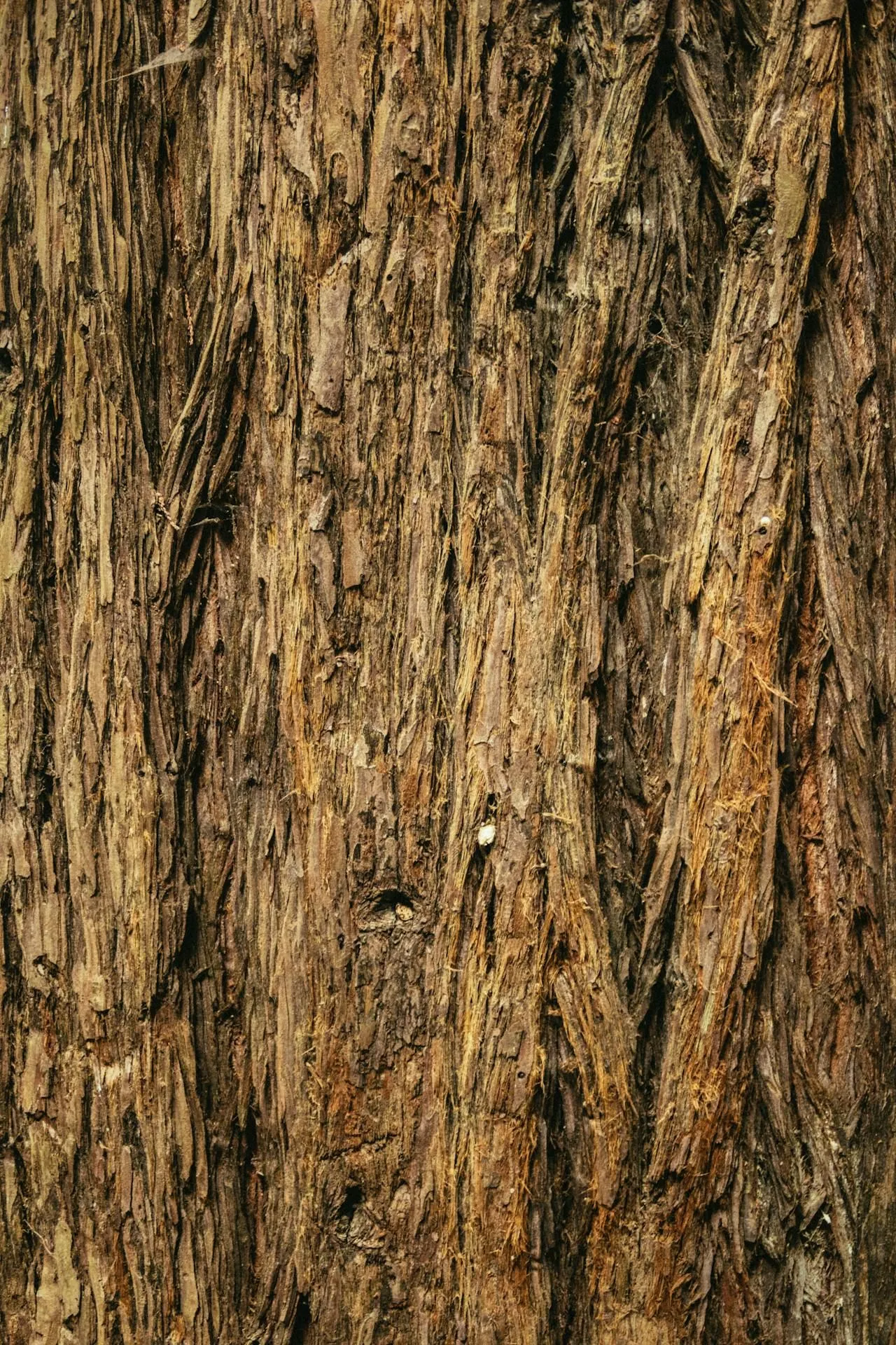 Termite Shields and Physical Barriers: Do They Work?