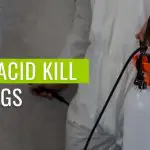 Does Boric Acid Kill Bed Bugs
