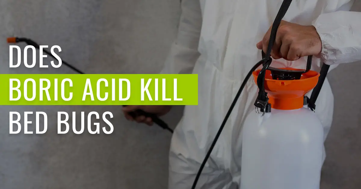 Does Boric Acid Kill Bed Bugs