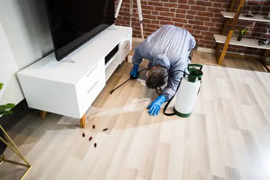 A man killing cockroaches in a house