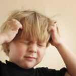 Why Do Head Lice Form on the Head?