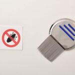 Do Head Lice Only Live on Hair of Children?