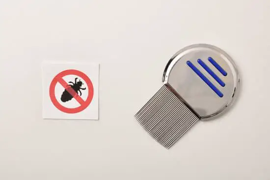 How to Cure Head Lice