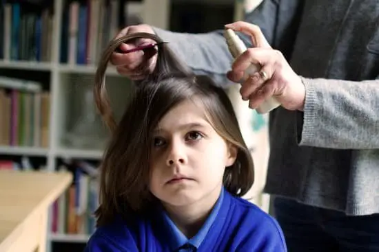 How Did Head Lice Get Into Your Hair?