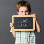 Do Head Lice Have a Hard Shell?