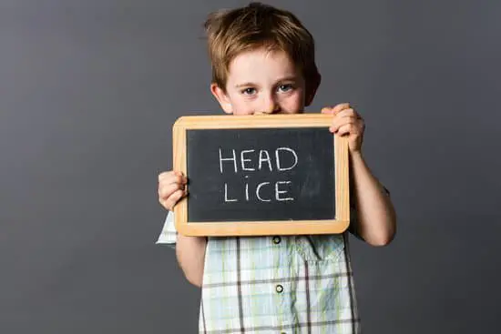 How Are Head Lice Produced?