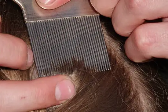 Can Head Lice Die With Hair Straighteners?