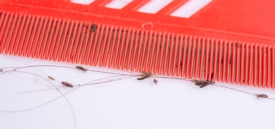 Do Head Lice Cause Hair Loss?
