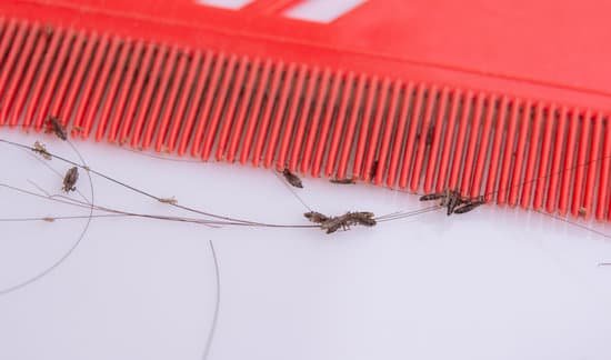 Can You Use Dettol For Head Lice?