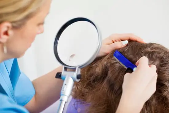 Why Are Head Lice Itchy?