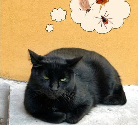 Can Fleas Breathe Underwater?