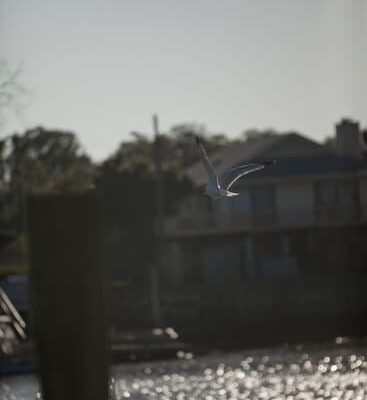 How Can Fly Patterns Fly in the Rain?